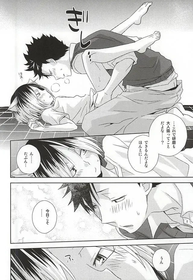 [Tomoharu] Neko Otoko Ichizoku no Koubi Report Fhentai - Page 31