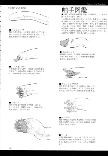 [Z-ton] A Beautiful Greed Z-ton Jingai Soushuuhen Fhentai - Page 57