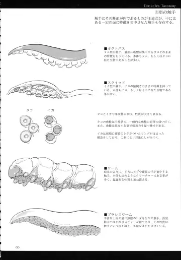 [Z-ton] A Beautiful Greed Z-ton Jingai Soushuuhen Fhentai - Page 59