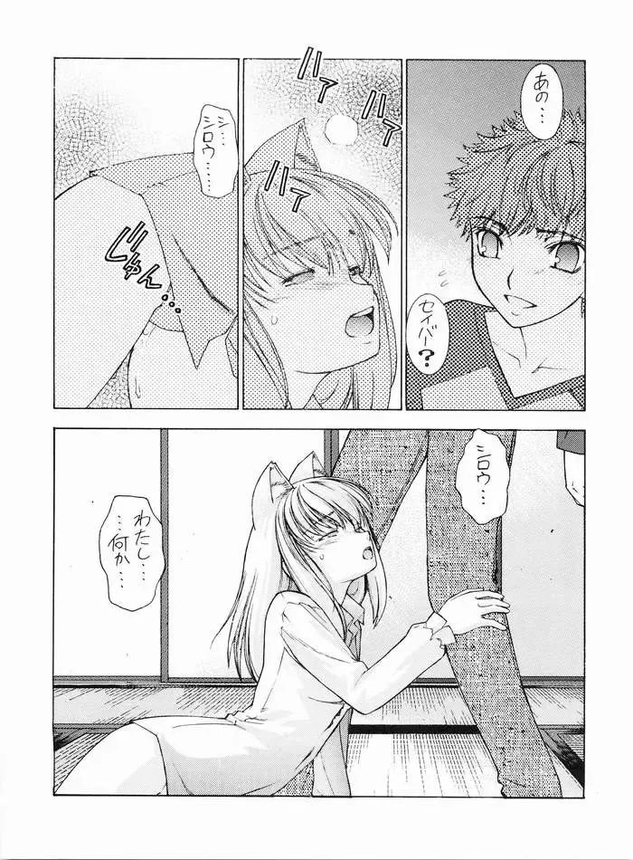 [Sanazura Hiroyuki] Nekomimi Fate Fhentai - Page 10