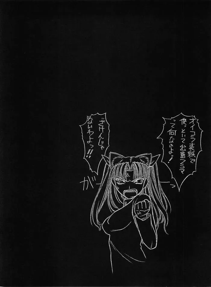 [Sanazura Hiroyuki] Nekomimi Fate Fhentai - Page 25