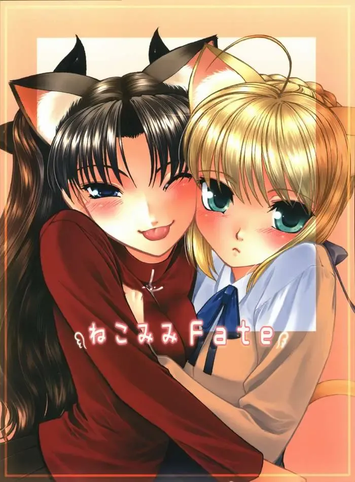 [Sanazura Hiroyuki] Nekomimi Fate Fhentai - Page 30