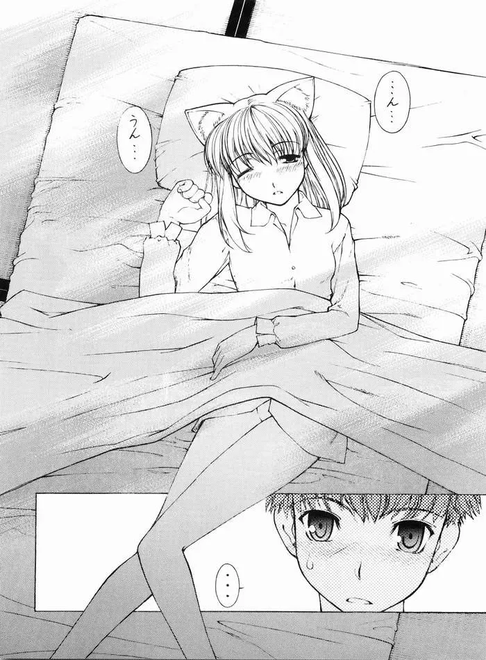 [Sanazura Hiroyuki] Nekomimi Fate Fhentai - Page 5