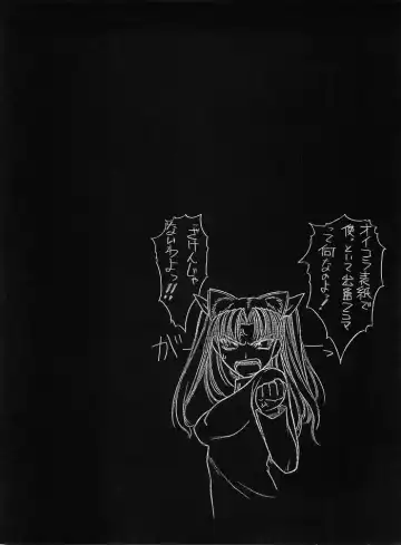 [Sanazura Hiroyuki] Nekomimi Fate Fhentai - Page 25