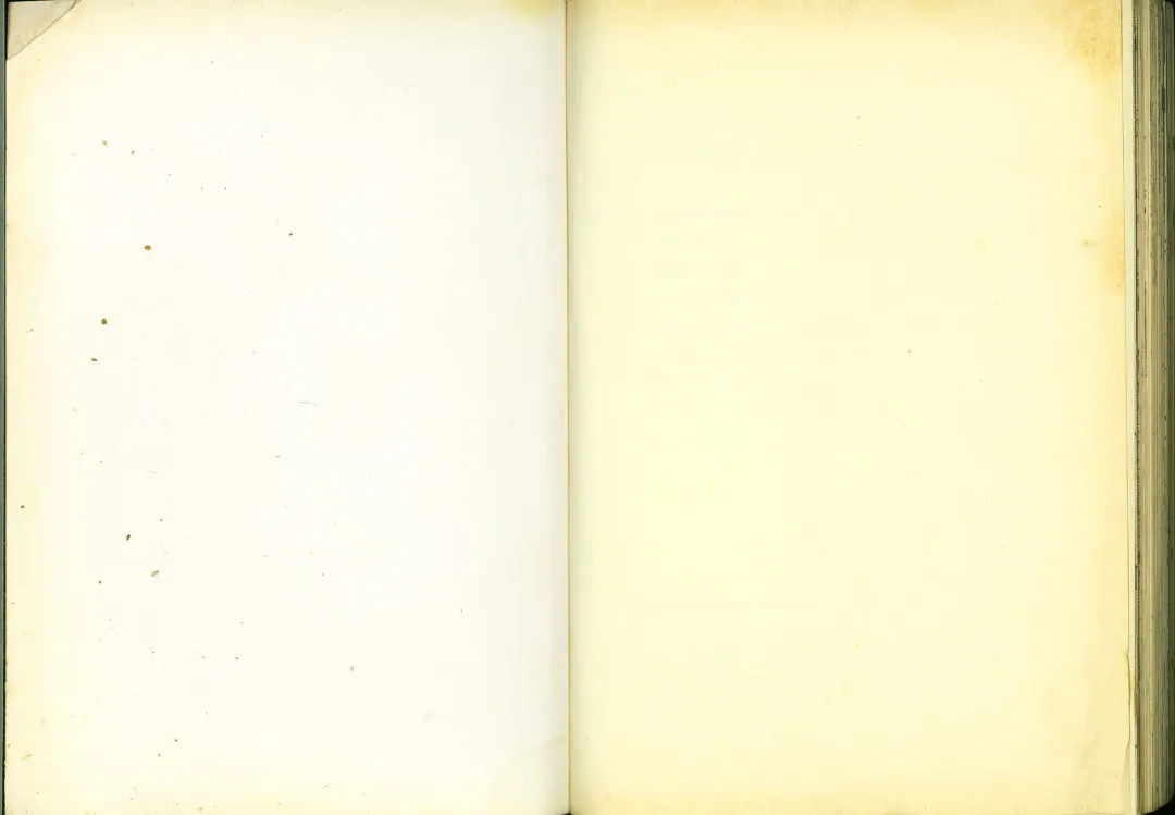 [Chiba Shuusaku] 俏警花5 Fhentai - Page 82