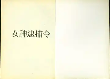 [Chiba Shuusaku] 俏警花5 Fhentai - Page 2