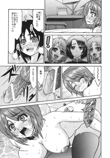 [Hatakeyama Tohya] [Complete Box (Ayakawa Hisashi) DESTINY GIRL (Gundam SEED DESTINY) [Digital] Fhentai - Page 15