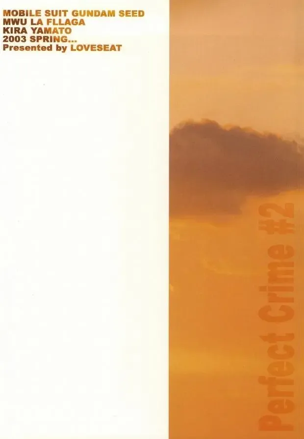 [Michiyo - Yuhka] Perfect Crime #2 Fhentai - Page 35