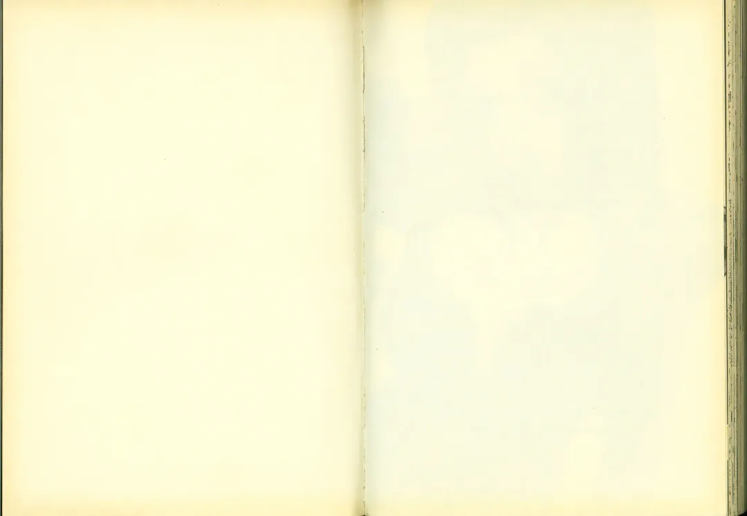 [Mizuno Poppo - Pierre Norano - Yukkyun] 反逆的魯魯修1 Fhentai - Page 81