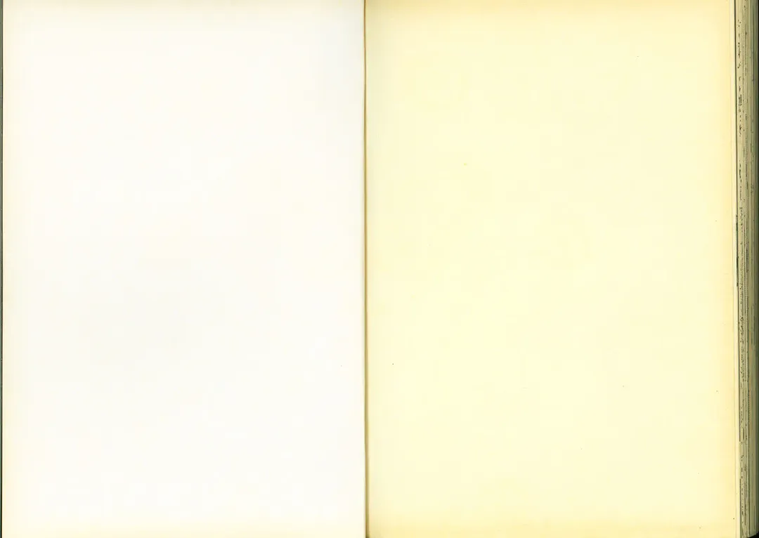 [Mizuno Poppo - Pierre Norano - Yukkyun] 反逆的魯魯修1 Fhentai - Page 82