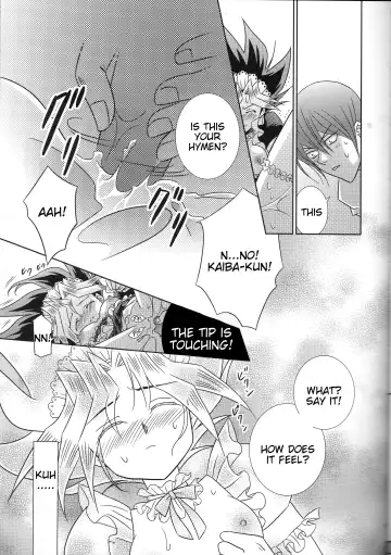 [Kashidashi Rie] Metamorphose Fhentai - Page 18