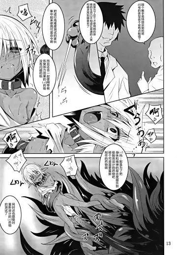[Fumihiro] DARK ELF BREAKING Fhentai - Page 12
