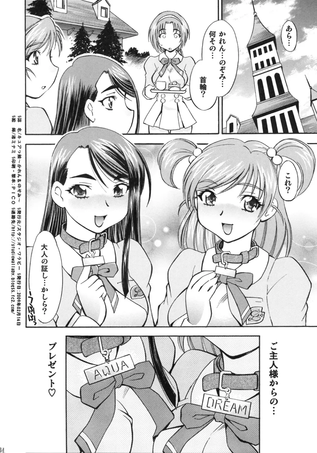 [Nagisa Minami] Cure Musume Karen & Nozomi Fhentai - Page 31
