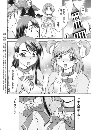 [Nagisa Minami] Cure Musume Karen & Nozomi Fhentai - Page 31
