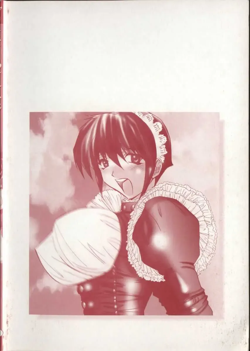 [Maro] Inran Dorei Mama Fhentai - Page 4