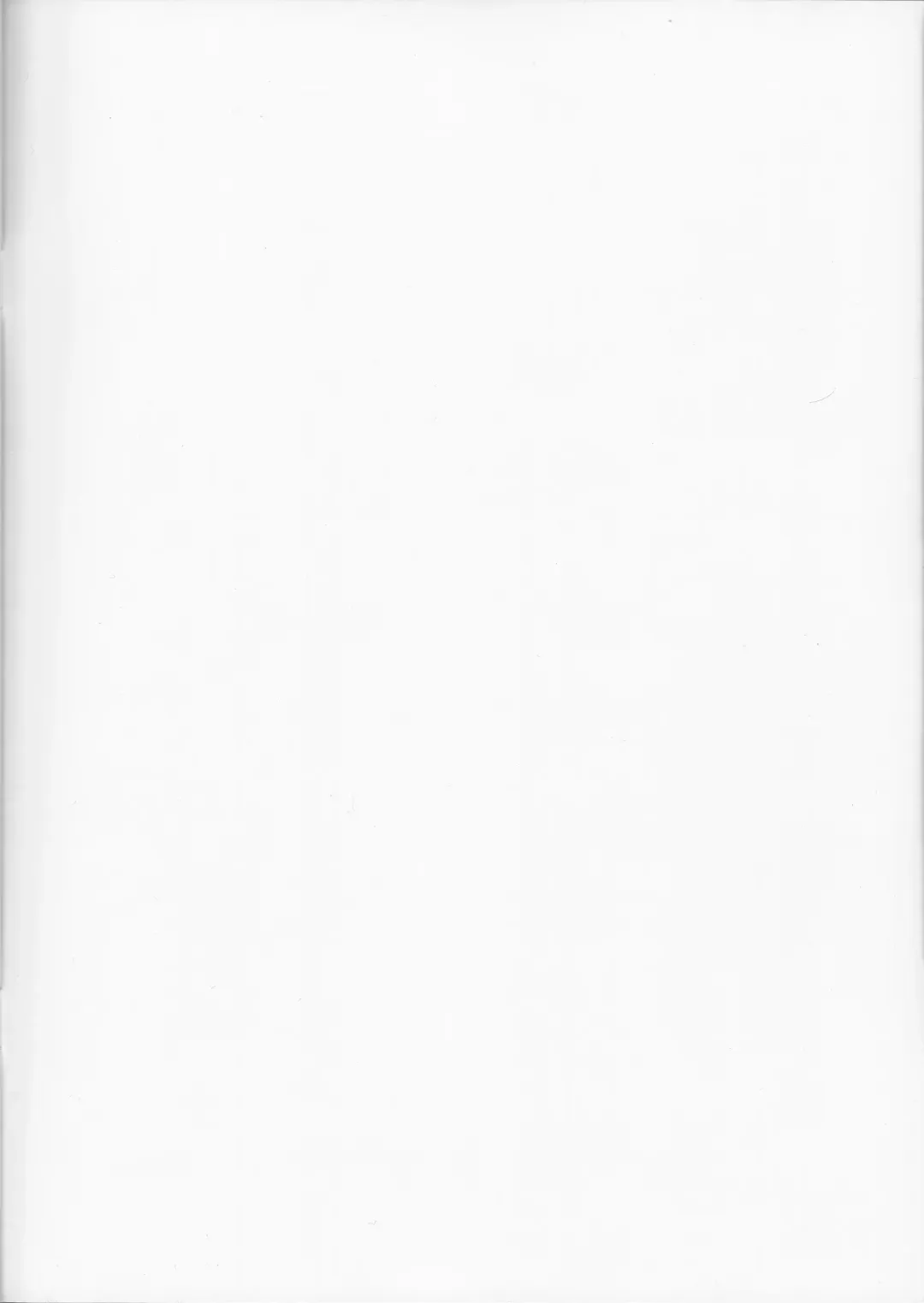 [Decarabia] HN:SORA Fhentai - Page 2