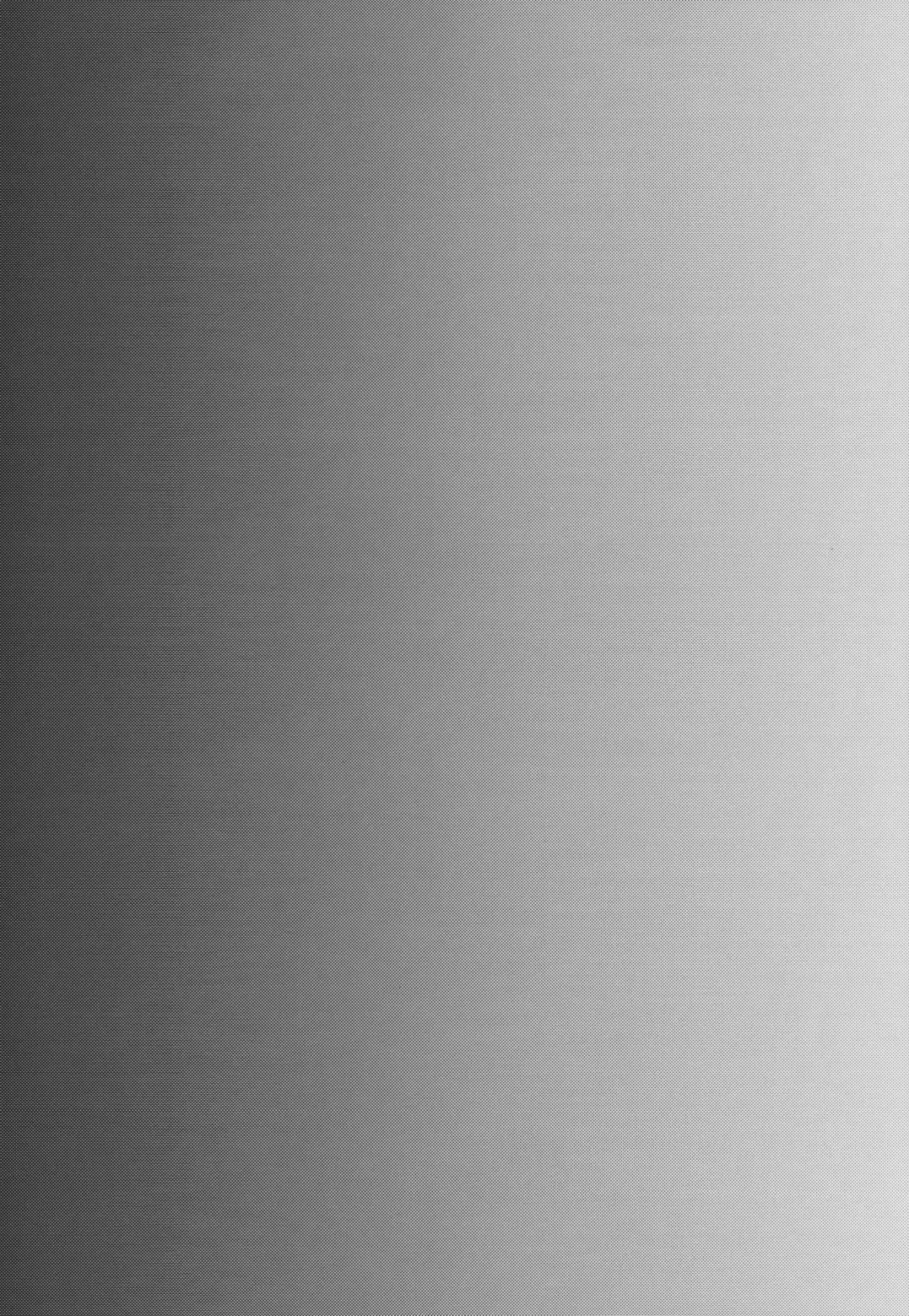 [Tachikawa Negoro] Ochibureta Joou to Niku | The Fallen Queen & Meat Fhentai - Page 4