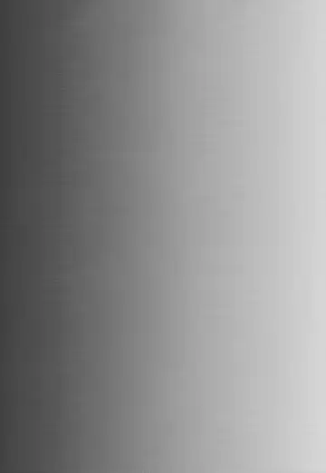 [Tachikawa Negoro] Ochibureta Joou to Niku | The Fallen Queen & Meat Fhentai - Page 4