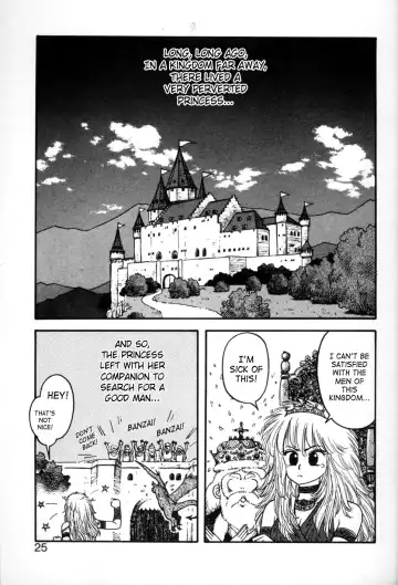 [Yui Toshiki] Princess Quest Saga Fhentai - Page 25