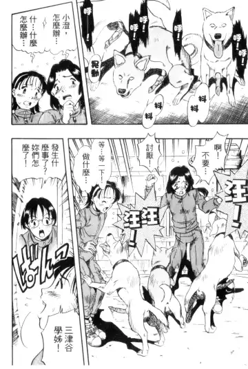 [Kurita Yuugo] Zoophila Syndrome | 農場症候群 Fhentai - Page 8