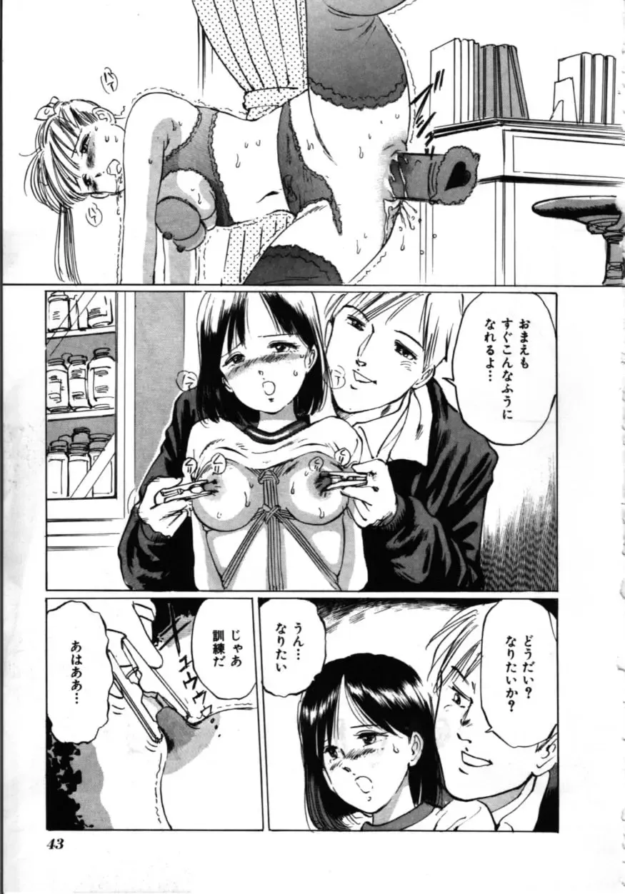 [Manno Rikyuu] MORBID PARTY -Byouteki na Utage- Fhentai - Page 44