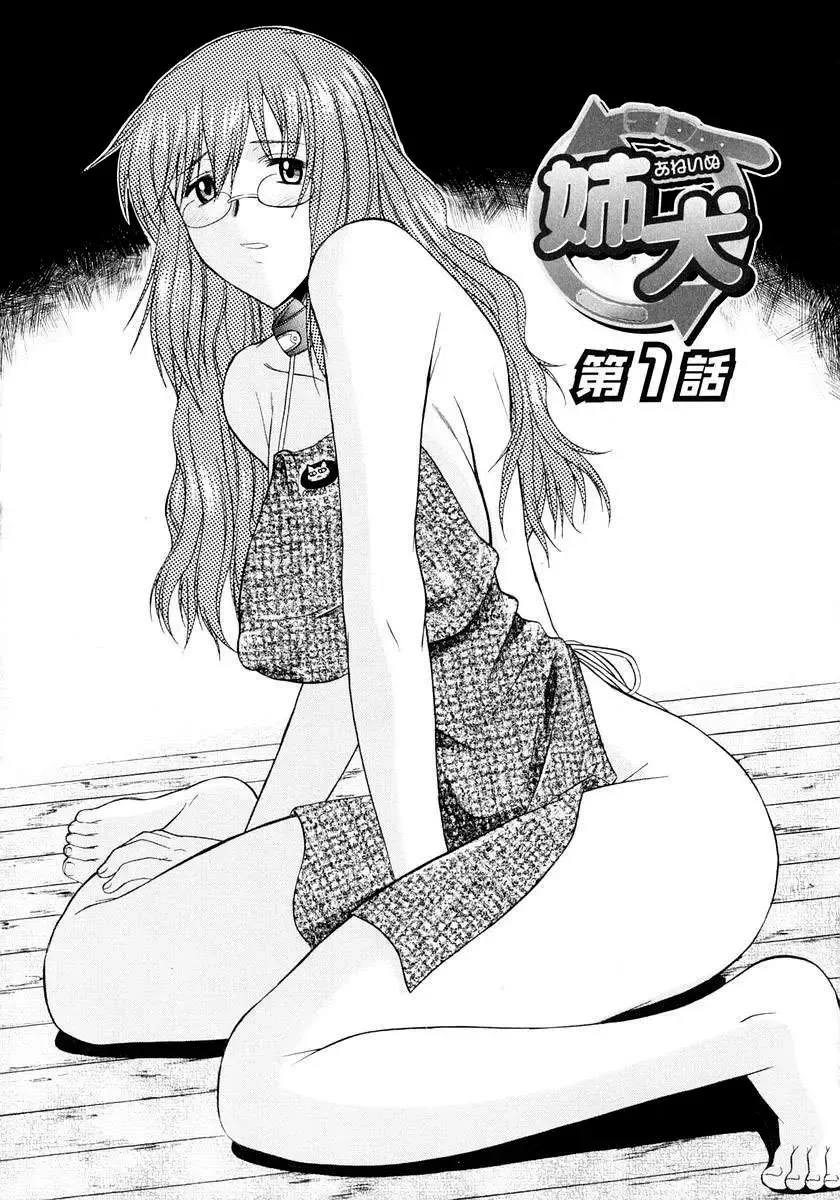 [Murasaki Syu] Ane Inu 1 Ch. 1-8 Fhentai - Page 11