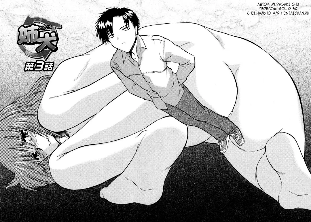 [Murasaki Syu] Ane Inu 1 Ch. 1-8 Fhentai - Page 47