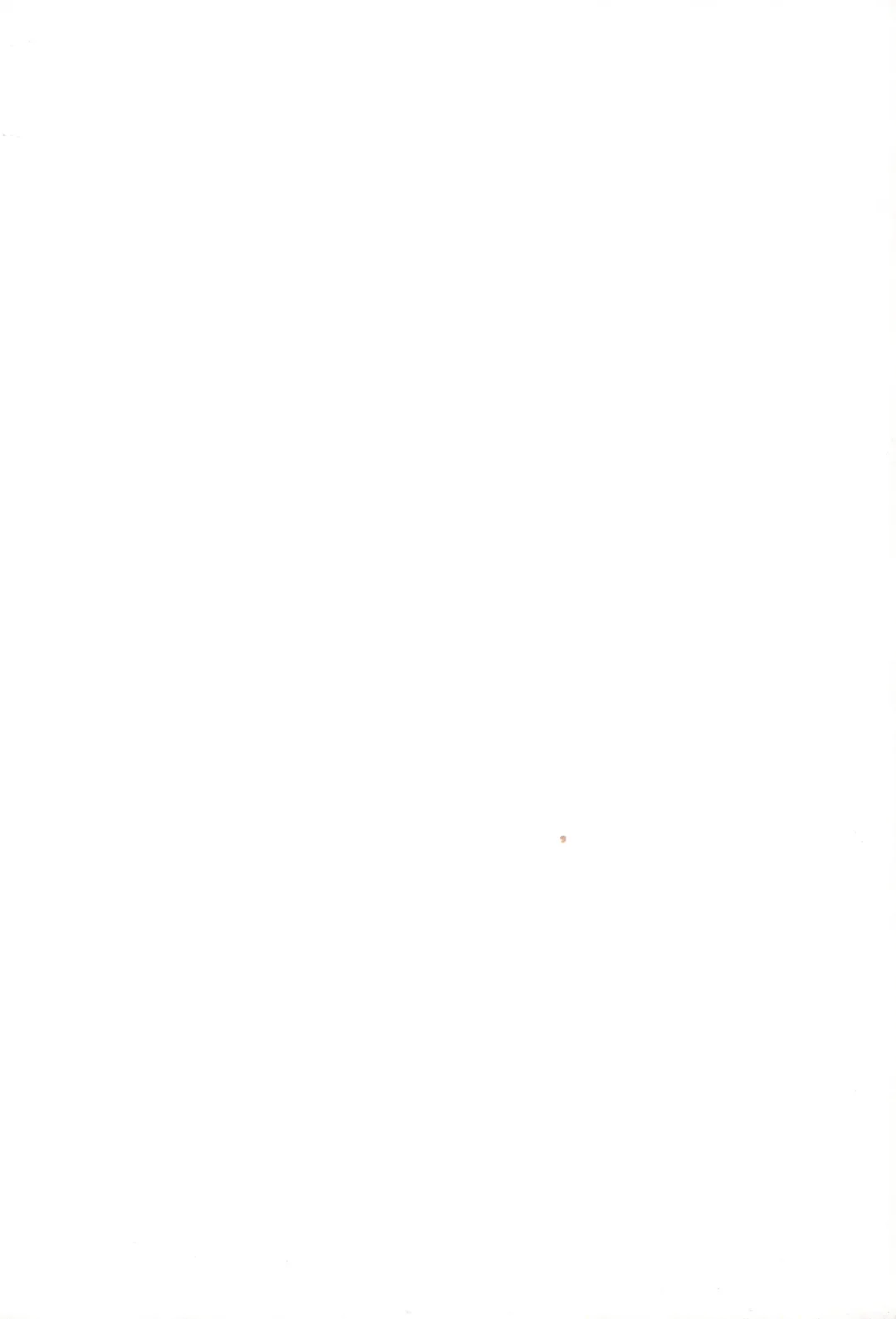 [Nilitsu] About18cm 3rd Fhentai - Page 2