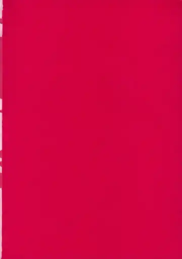 [Saigado] THE ATHENA & FRIENDS 2006 Fhentai - Page 49