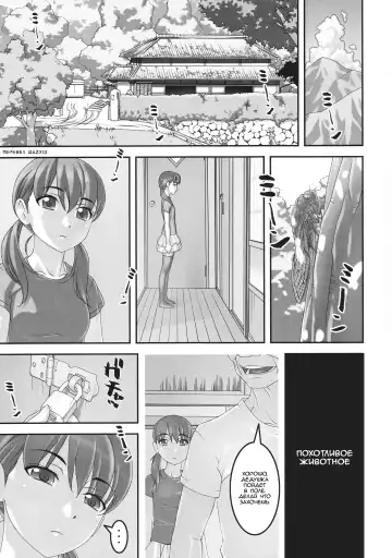 [Sakura Romako] Injuu ~Midara na Kemono~ | Похотливое животное Fhentai - Page 2