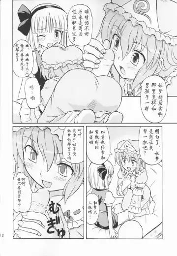 [Takaku Toshihiko] Touhou Youjo Ranbu 3 Fhentai - Page 12