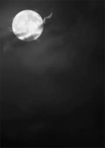 [Sano Takashi] Moonlight Crossing Fhentai - Page 163