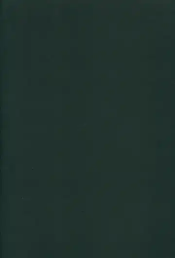 [Hirno] Yamitsuki Patel Fhentai - Page 3