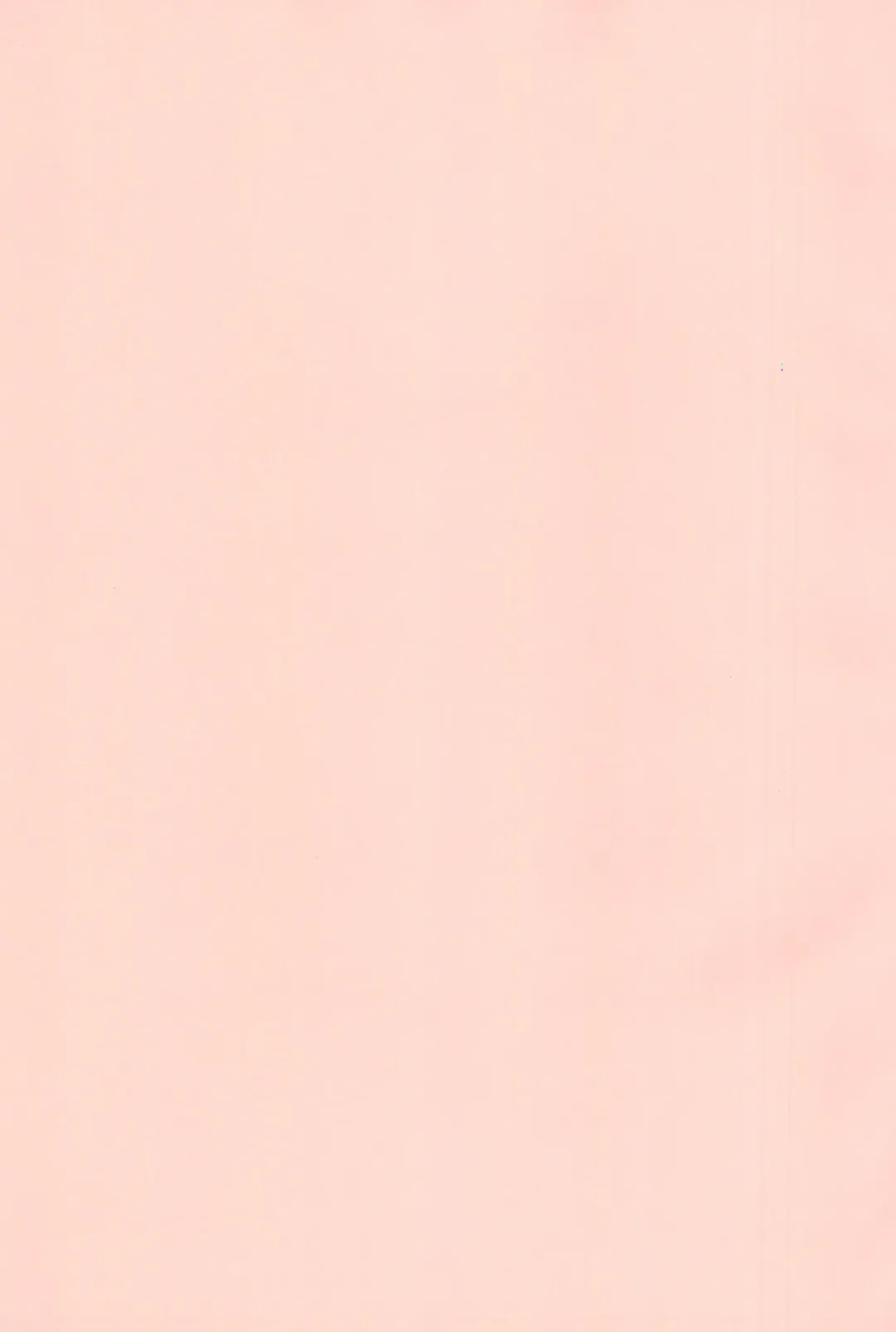 [Saeki Tatsuya] Nekokan Usagikan Fhentai - Page 3