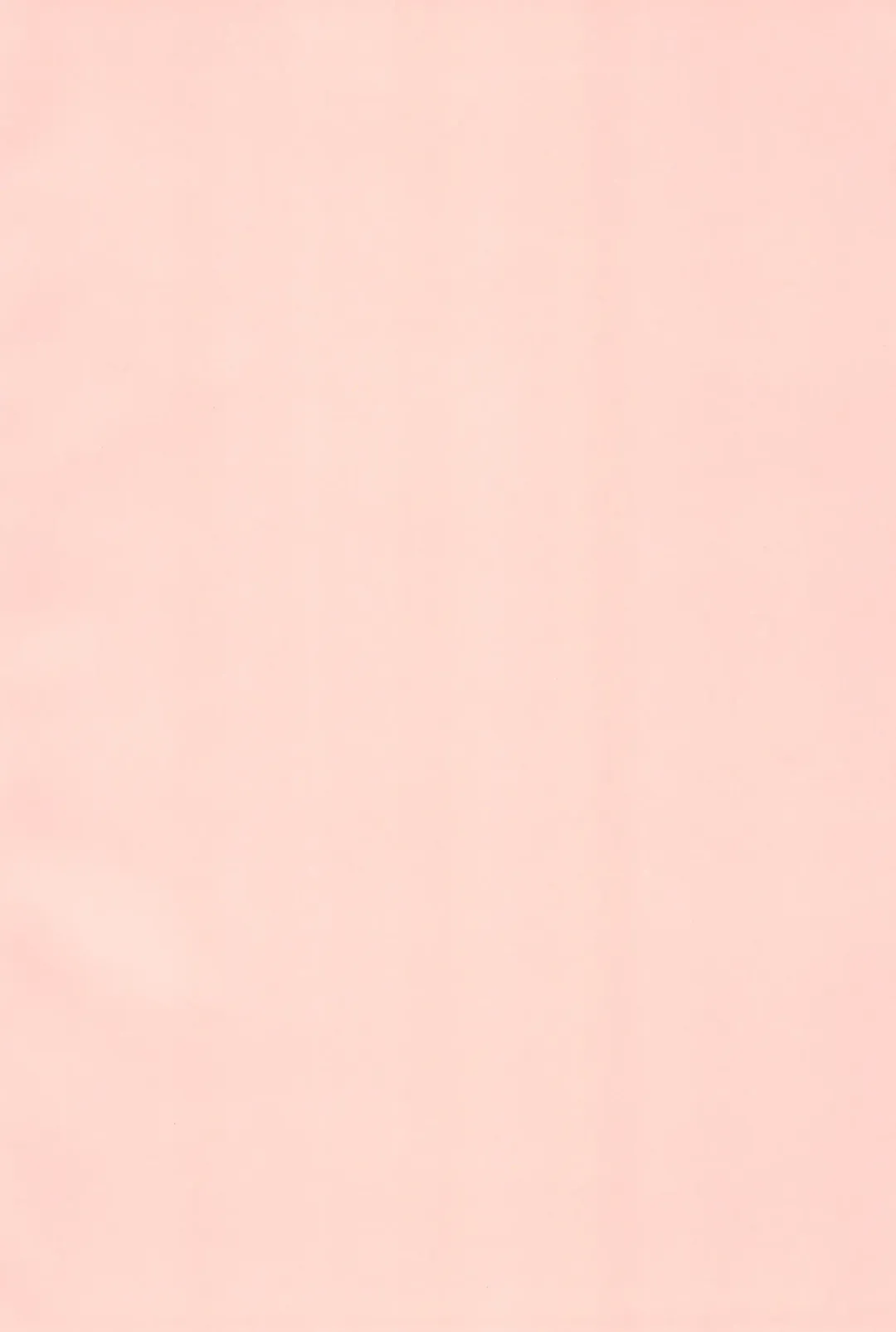 [Saeki Tatsuya] Nekokan Usagikan Fhentai - Page 4