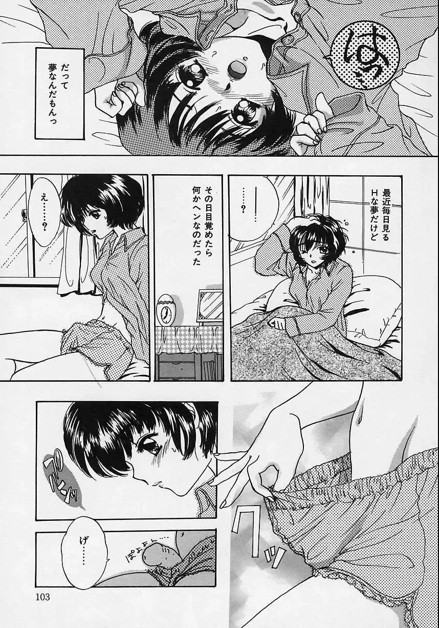 [Shimao Kazu] Aigan Reijou Fhentai - Page 101