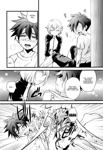 [Miyamoto Ikusa] Aigan Gatana Fhentai - Page 13