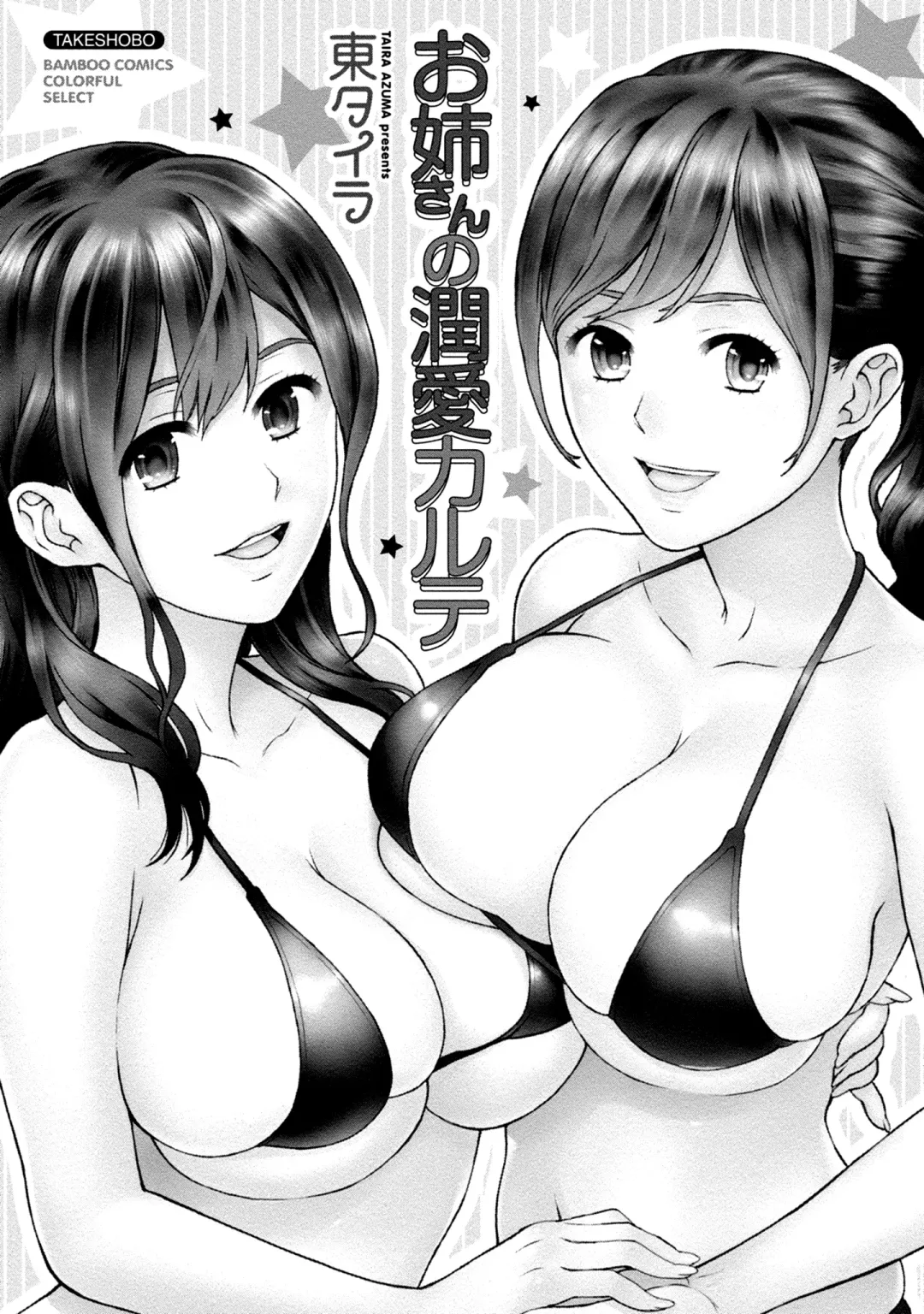 [Azuma Taira] Onee-san no Junai Karte Fhentai - Page 3