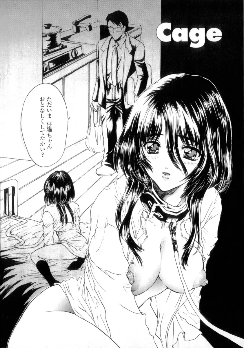 [Shimao Kazu] Flower Fhentai - Page 172