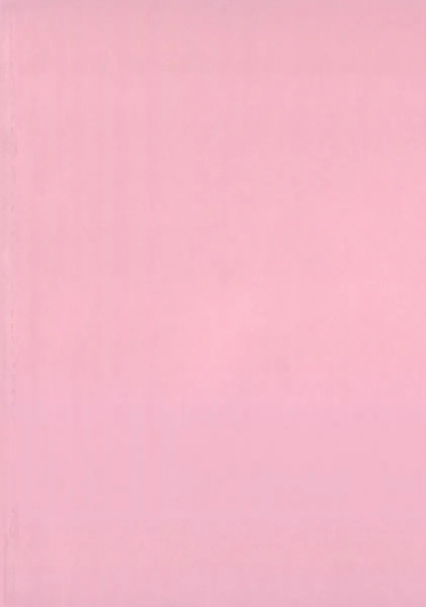 [Shimao Kazu] Flower Fhentai - Page 4