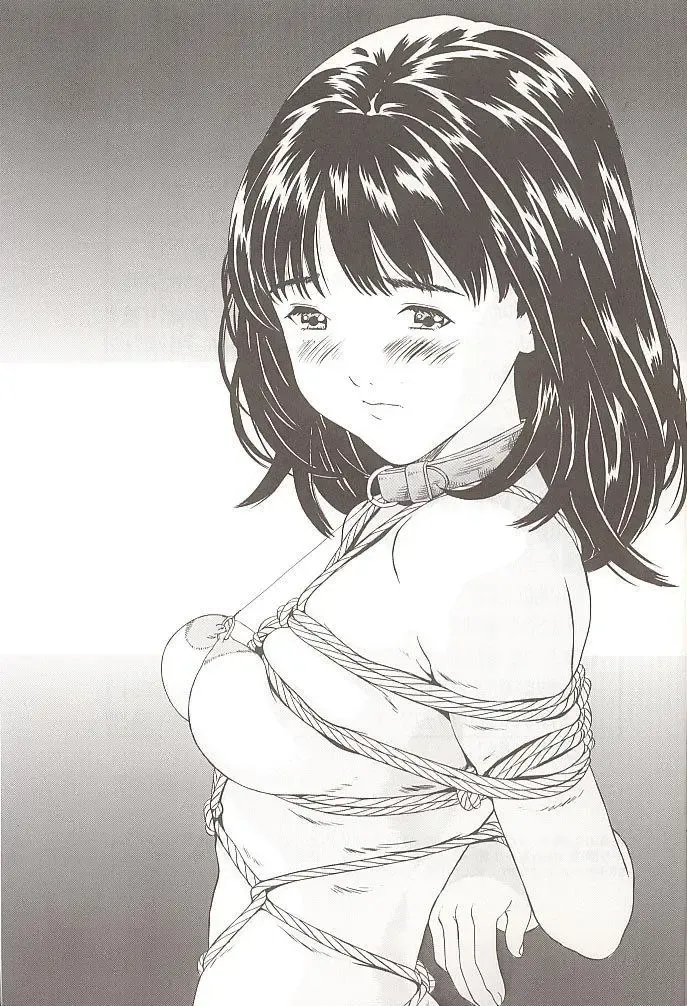 [Hayashibara Hikari] I''s 2 Yoshizuki Iori Kannou Illust Shuu Fhentai - Page 31