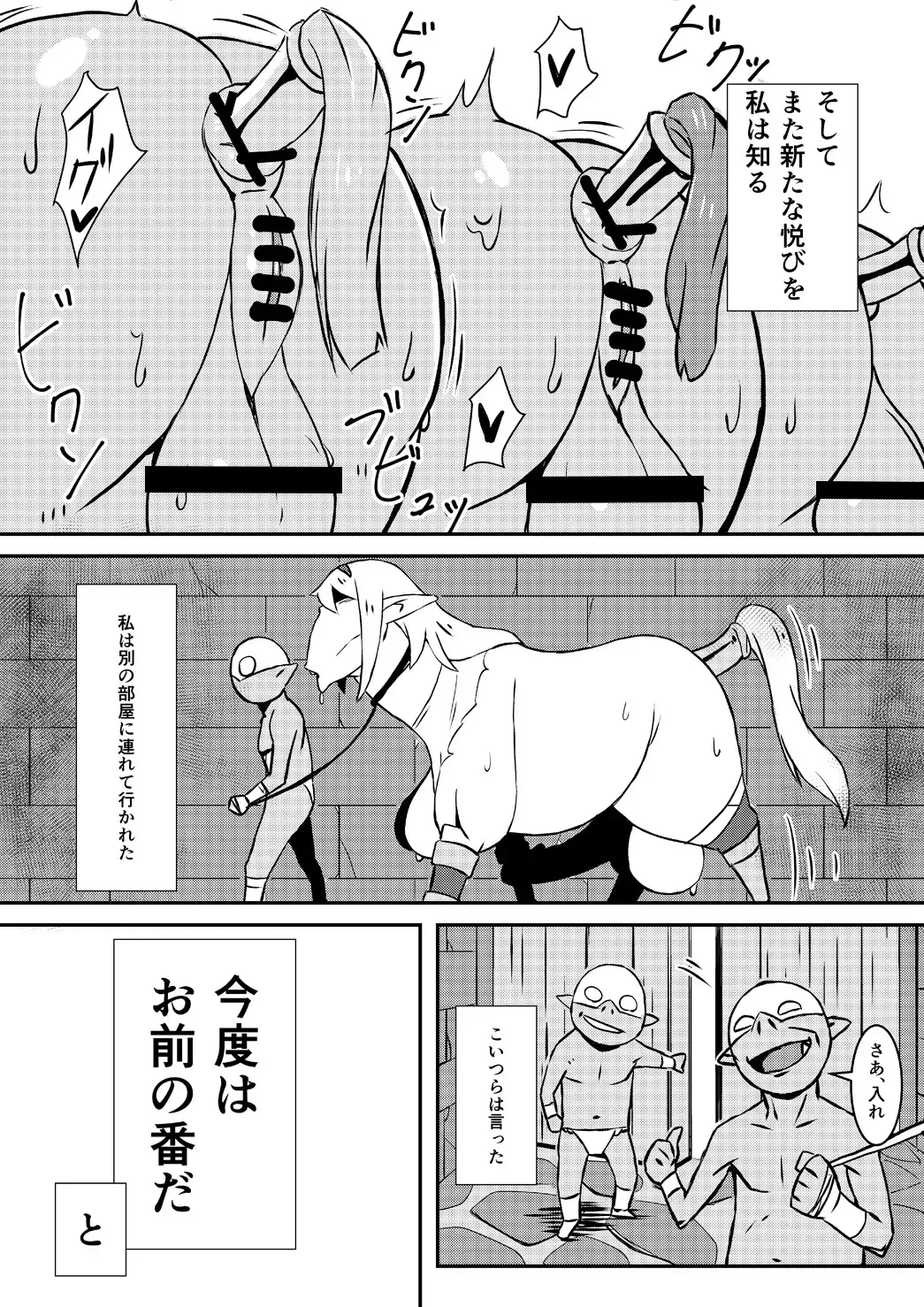 [Nikujiruc] Queen's Stallion Fhentai - Page 18