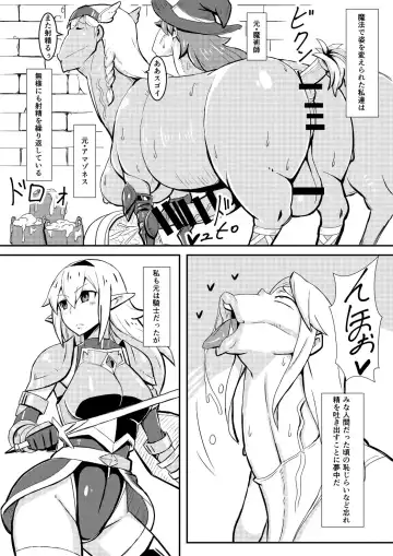 [Nikujiruc] Queen's Stallion Fhentai - Page 4