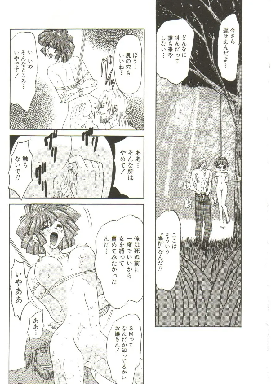 [Maro] Sadist wa Nemuranai Fhentai - Page 41