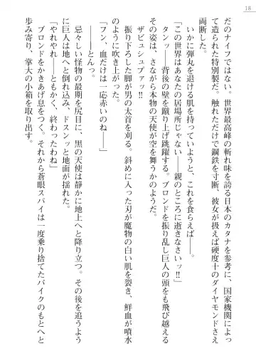 [Akitsuki Karasu - Myrage] Code Name wa Angel Fhentai - Page 18