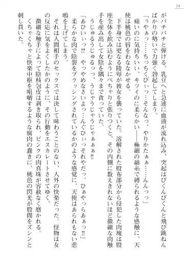 [Akitsuki Karasu - Myrage] Code Name wa Angel Fhentai - Page 24