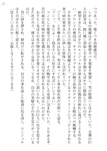 [Akitsuki Karasu - Myrage] Code Name wa Angel Fhentai - Page 29