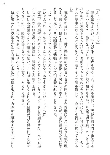 [Akitsuki Karasu - Myrage] Code Name wa Angel Fhentai - Page 33