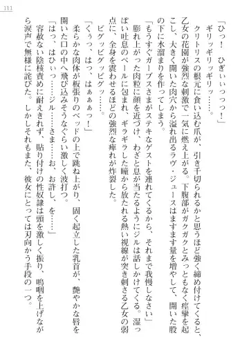 [Lutein - Yamamoto Saki] 性隷剣士エレーナ Fhentai - Page 111