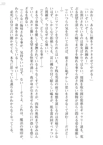 [Lutein - Yamamoto Saki] 性隷剣士エレーナ Fhentai - Page 113